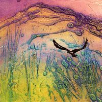 Yorkshire Peak: Morning Dew