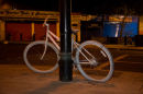 Ghost bike portrait 9