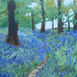 Bluebell Wood