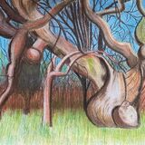 The Old Spanish Chestnut tree in Balmerino Abbey, Fife