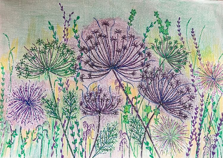 Seed Heads