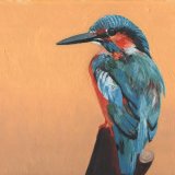 Kingfisher - black frame. Overall size 14.25x 13.5 inches/36x34.5 cms £50 inc p&p UK only. Contact for overseas postage