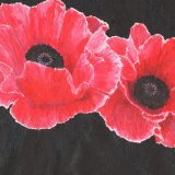 Red Poppies - in a black mount. Overall size 19.75x15.75 inches/ 55x40 cms £30 inc p&p UK only. Contact for overseas postage
