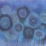 Seedheads 2 - in a cream mount. Overall size 14x11 inches/35.5x27.5 cms £25 inc p&p UK only. Contact for overseas postage