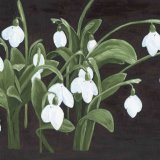 Snowdrops 1 - unframed board. 12x16 inches/33.5x40.5cms £25 inc p&p UK only. Contact for overseas postage
