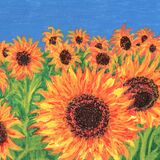 Sunflowers 2 - in a cream mount, Overall size 14x11.75/35.5x27.5cms £25 inc p&p UK only. Contact for overseas postage
