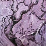 The Old Spanish Chestnut tree in Balmerino Abbey, Fife - in purple