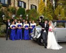 Wedding Party at Aherlow House Hotel, Tipperary.