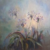 Agaphantus, Midnight Blue, SOLD