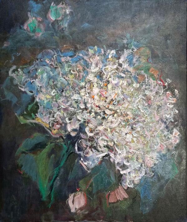 Climbing Hydrangea,