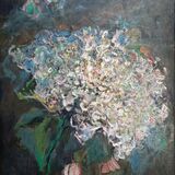 Climbing Hydrangea,