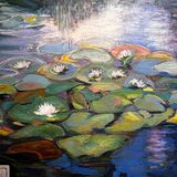 Waterlilies of Gunnersbury Park , London