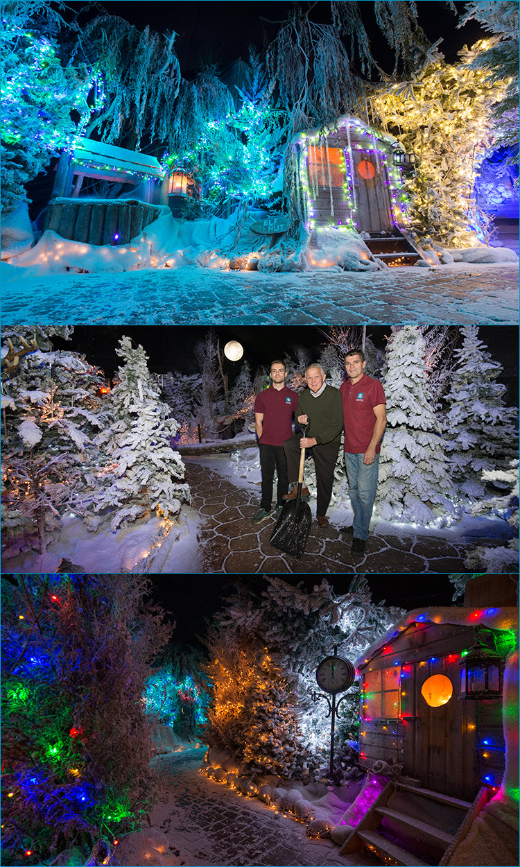 JASON DODD PHOTOGRAPHY BROOKSIDE GARDEN CENTRE PADDOCK WOOD KENT