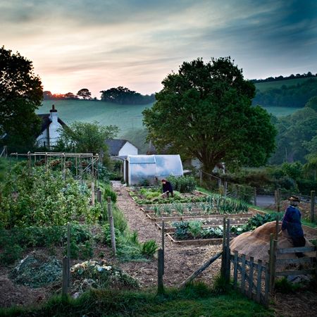 Gardening at First Light