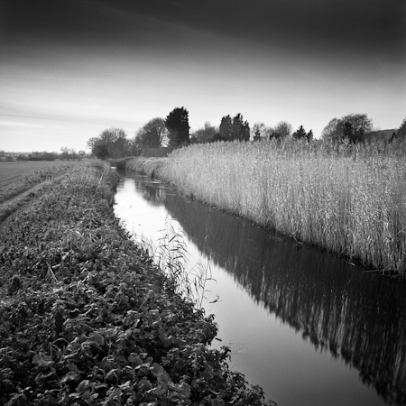 Somerset Levels 02