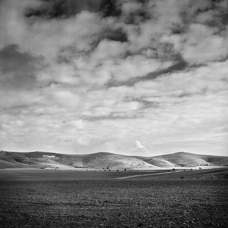 The White Horse