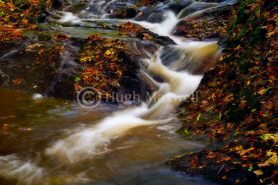 Autumnal Stream