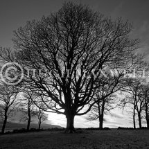 Cairnsaigh Silhouette