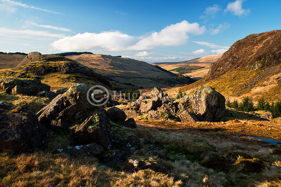 Afton Glen and Castle William