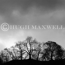 Laggan View