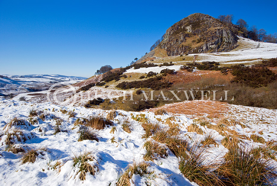 A carpet of snow