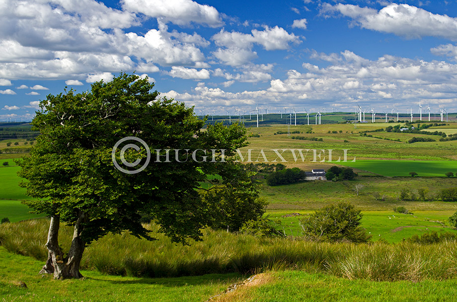 Loudoun Hill View