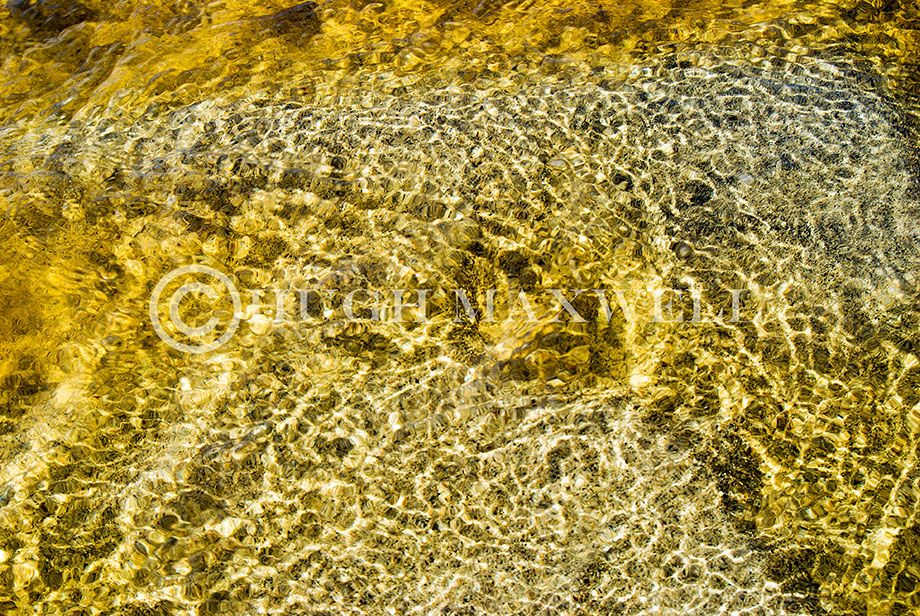 Sparkling Golden Mosaic