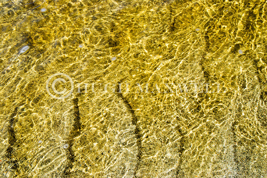 Sparkling Golden Mosaic