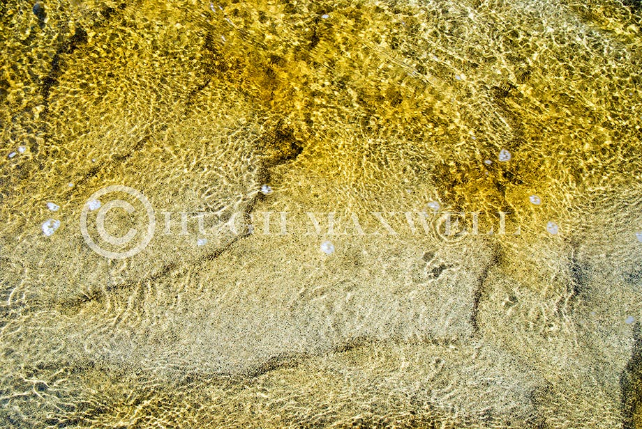 Sparkling Golden Mosaic