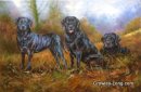 Cool, Calm and Collected (36insx24ins) € 2800