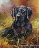 His Magnificence  <FONT COLOR="FAEBD7"><font size="3">(SOLD)</FONT></font>