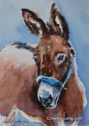 The Buccaneer  <p style="font-size:12pt;">(SOLD)</p>