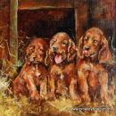 Golden Wonders!  <p style="font-size:12pt;">(SOLD)</p>