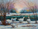 Snow Geese ( 16 x 12 )