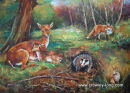 Wildlife Ireland ( 18 x 24 ) SOLD