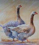 Strutting Ou t  <p style="font-size:12pt;">(SOLD)</p>