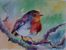 Robin Red <p style="font-size:12pt;">(SOLD)</p>