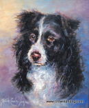 Jack  <p style="font-size:12pt;">(SOLD)</p>