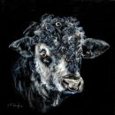 Iresista-Bull <p style="font-size:12pt;">(SOLD)</p>