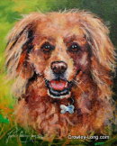 Brady (SOLD)