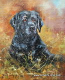 Black Buccaneer   <FONT COLOR="FAEBD7"><font size="3">(SOLD)</FONT></font>