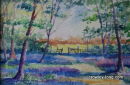 Through the Bluebell Wood <p style="font-size:12pt;">(SOLD)</p>