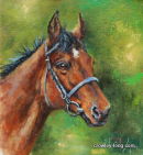 Hurricane Fly (12 x 10 inches)