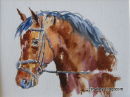 Frankel (6 x 8 inches)
