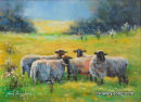 Called to the Baa    <p style="font-size:12pt;">(SOLD)</p>