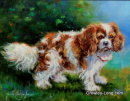 Harry (SOLD)