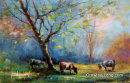 Morning Pasture(SOLD)