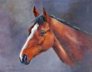 Kauto Star (14 x 18")