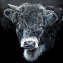 E-bullient  <p style="font-size:12pt;">(SOLD)</p>