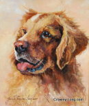 Pedigree Chum (SOLD)